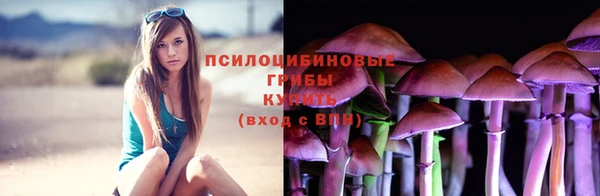 гидропоника Грязи