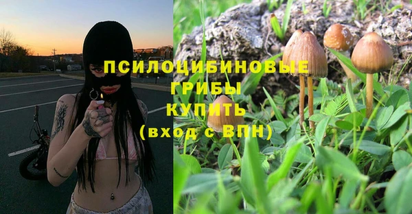 соль курить ск Остров