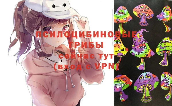 мет Осинники