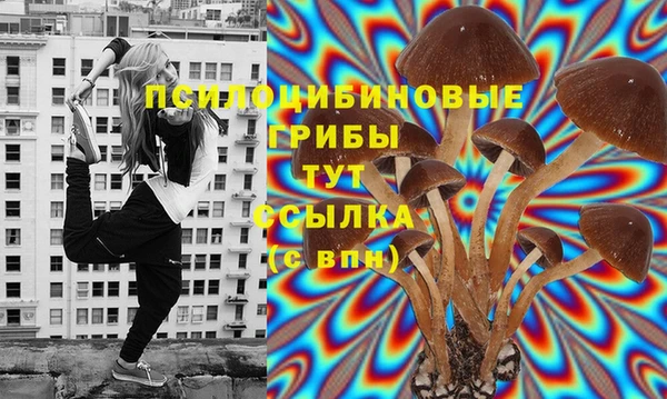 героин Нягань