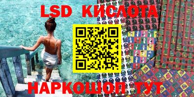 прущие грибы Бийск