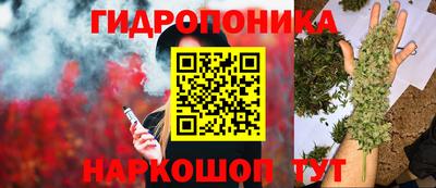 a pvp Беслан
