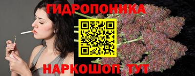 прущие грибы Бийск