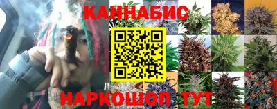 прущие грибы Бийск