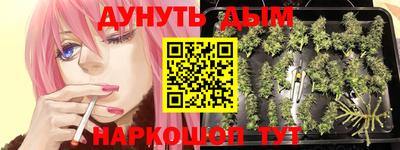 прущие грибы Бийск