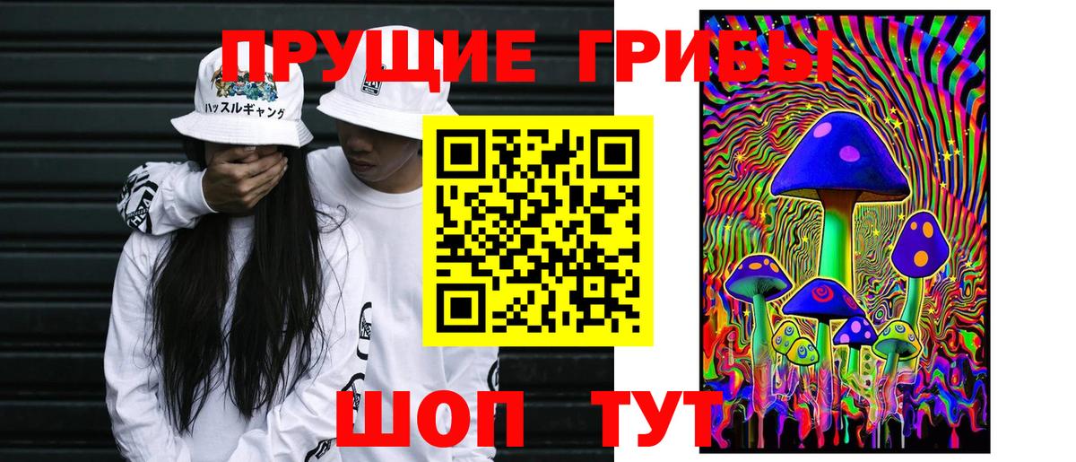 Псилоцибиновые грибы Magic Shrooms  хочу   Тара  Вход с VPN  Псилоцибиновые грибы прущие грибы 
